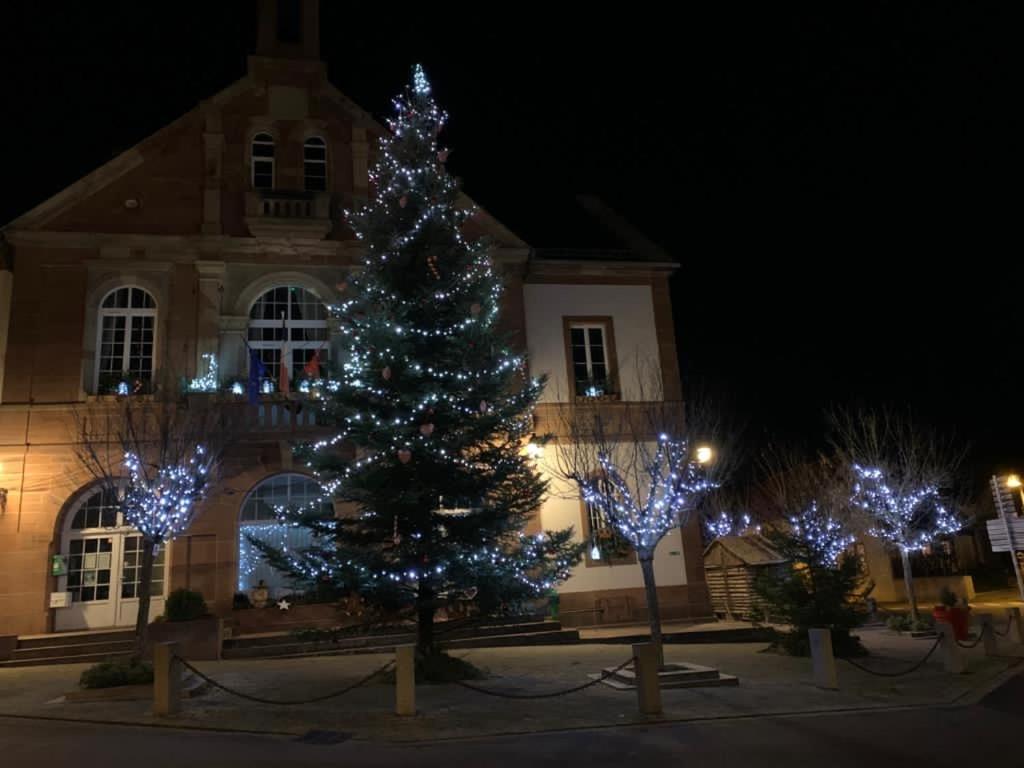 Alsace Randonnee Ou Ski Bel Appartement Grendelbruch Exterior foto